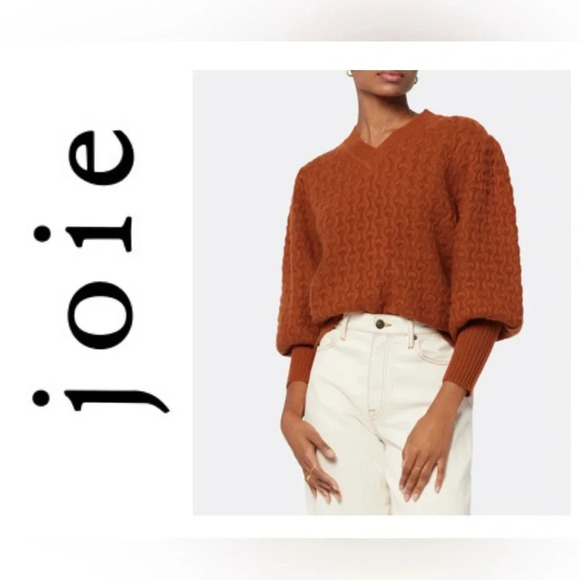 JOIE KERRISON CASHMERE WOOL SWEATER MEDIUM in ARABIAN SPICE NWT - Picture 1 of 9